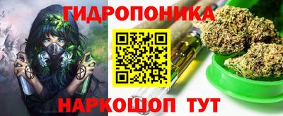 СК Сланцы