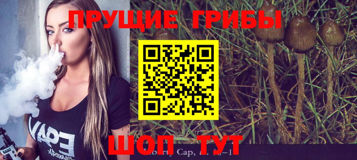 купить  сайты  Вход с VPN  Мурино  Псилоцибиновые грибы мухоморы 
