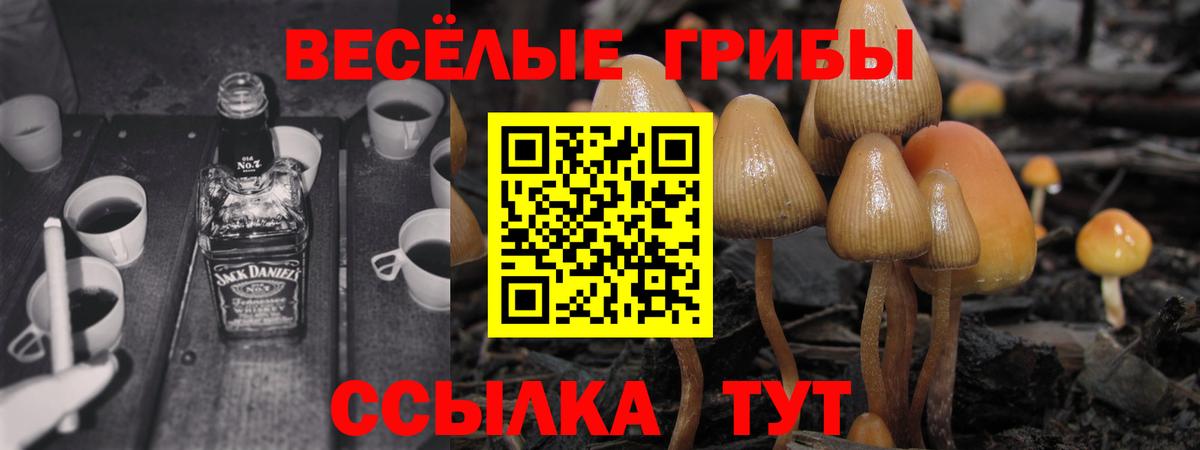 Галлюциногенные грибы GOLDEN TEACHER Мурино
